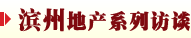 Iݵخa(chn)ϵLՄ